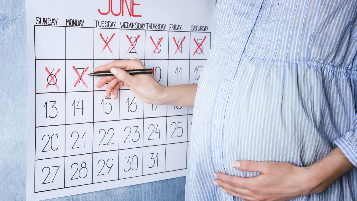 Tahap Perkembangan Janin di Usia Kehamilan 8 Minggu