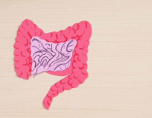 Makanan yang Dapat Menyebabkan Kanker Usus