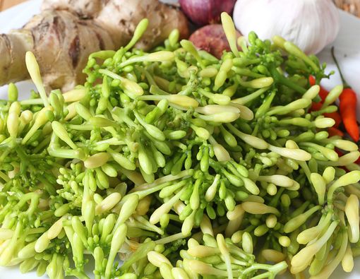 12 Manfaat Bunga Pepaya bagi Kesehatan, Cegah Penyakit!