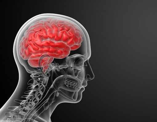 Apa Itu Mati Batang Otak?