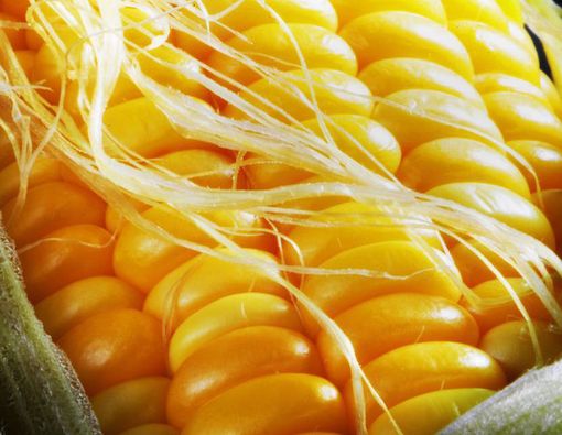 Inilah 6 Manfaat Rambut Jagung