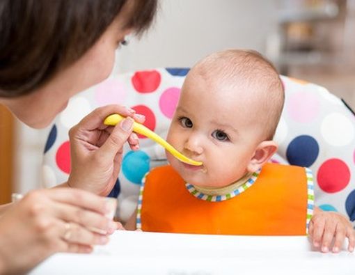 Tujuh Peristiwa Besar Perkembangan Makan Bayi