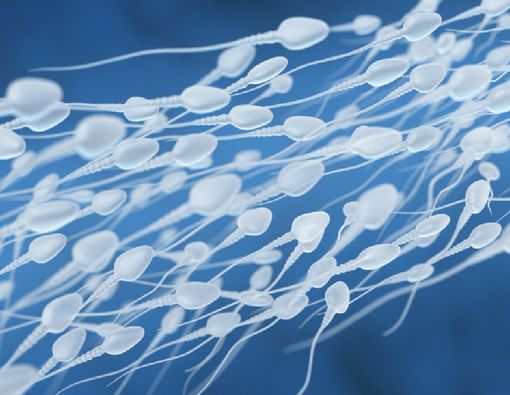 Mengungkap Kualitas Sperma Berdasarkan Usia Pria