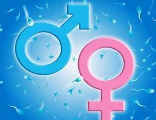 7 Fakta Seks yang Belum Anda Tahu