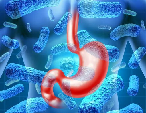 Penyebab Gastritis Kronis Pada Usia Dewasa Muda