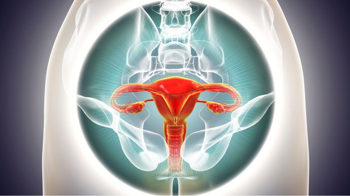 9 Fakta tentang Ovarium yang Perlu Diketahui Wanita - KlikDokter