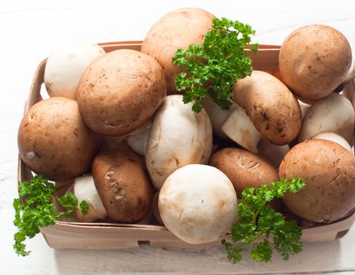 Manfaat Jamur untuk Penderita Diabetes