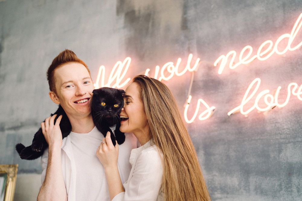 Selain Kucing, Ini Hewan Lain yang Bisa Tularkan Toksoplasma