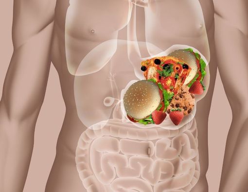 Berapa Lama Makanan Dicerna oleh Tubuh?