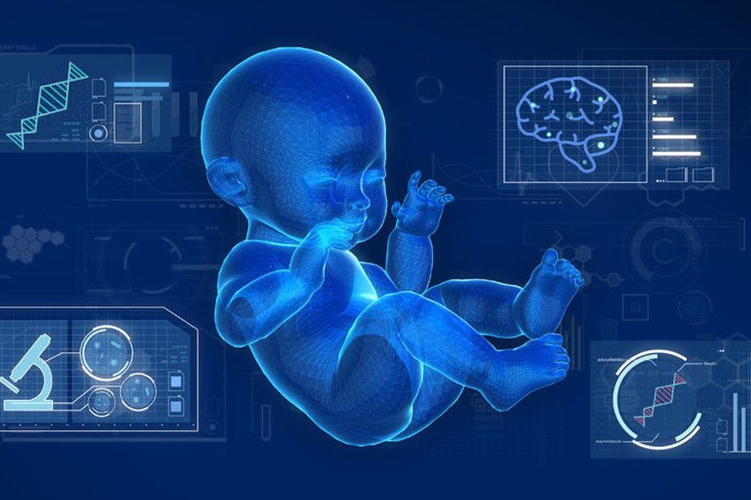 Bisakah Kualitas Kesehatan Anak Diprogram Sejak Janin?