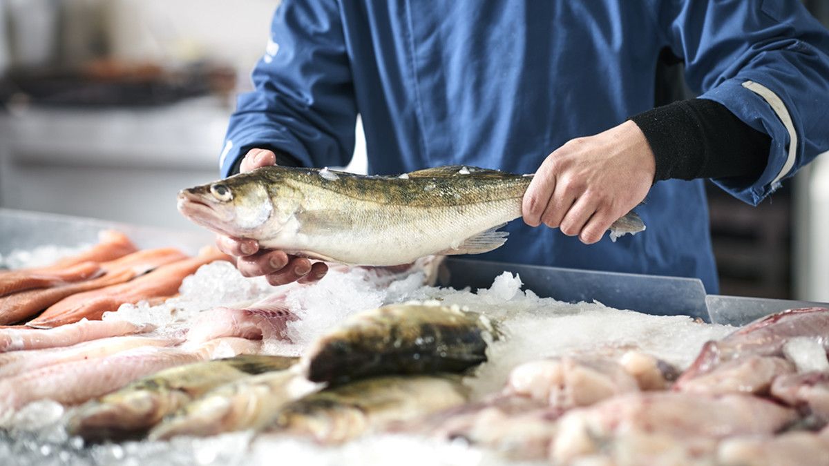 Bunda, Ini Jenis Ikan yang Baik untuk Kecerdasan Anak