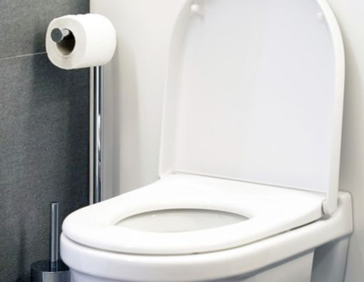 Lebih Sehat Mana, Kloset Jongkok atau Duduk?