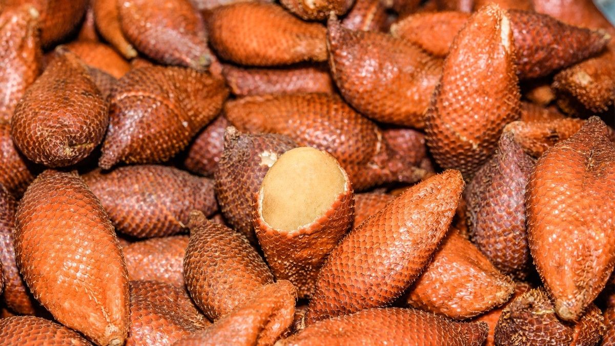 Kaya Antioksidan, Ini Manfaat Salak untuk Penderita Diabetes