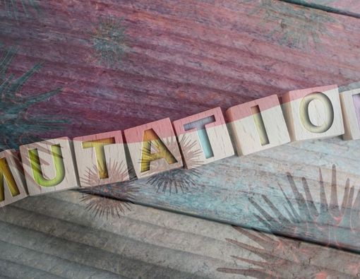 Mengenal Virus Mutasi Lokal COVID-19 di Indonesia