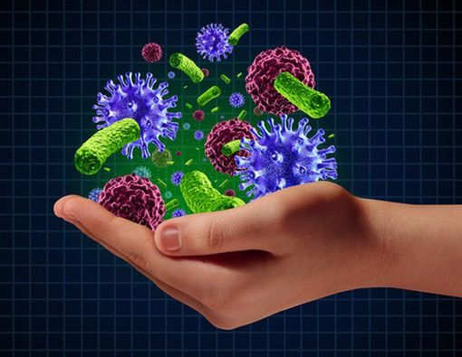 Inilah Kuman-Kuman di Tubuh Kita!