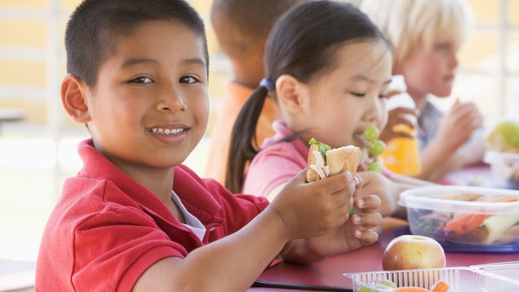 Kesehatan Nutrisi untuk Anak-Anak: Cara Cerdas Membangun Fondasi Sehat Sejak Dini