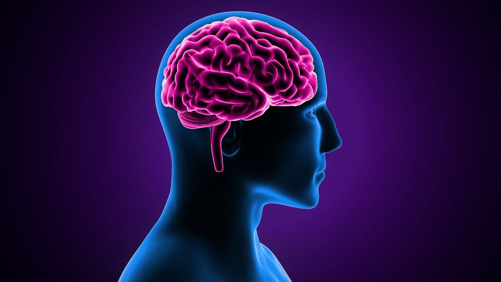 Benarkah Menyelam Berbahaya untuk Kesehatan Otak? (Life Science/Shutterstock)