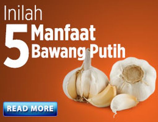 Inilah 5 Manfaat Bawang Putih