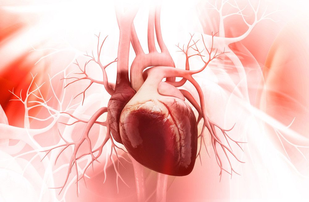 Tembakau dan Kaitannya dengan Penyakit Jantung (liya Graphics/Shutterstock)