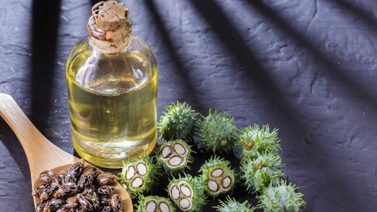 Manfaat Minyak Jarak untuk Kesehatan