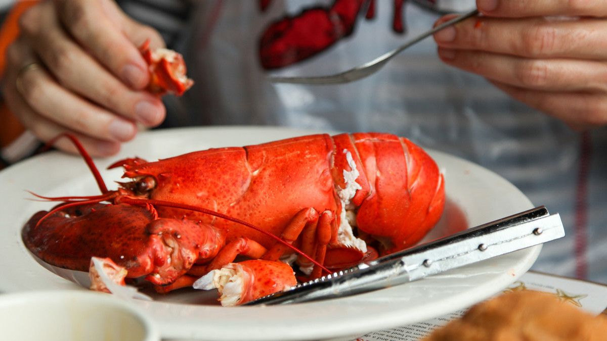 Jangan Makan Lobster Berlebihan, Ini Risikonya