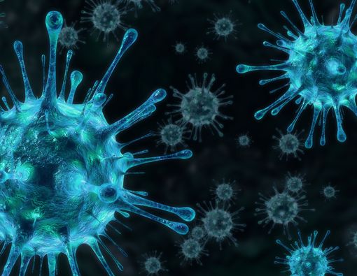 Mengenal Virus Oropouche yang Akibatkan Kematian di Brasil