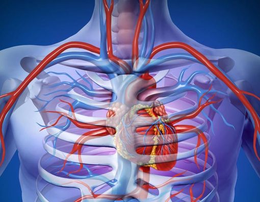 Seribu Mukjizat Berpuasa bagi Kesehatan