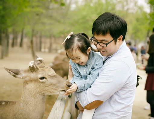 Bolehkah Anak Alergi Pergi ke Kebun Binatang?