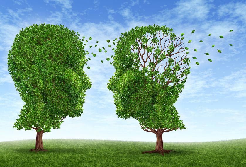 Fakta Seputar Alzheimer di Indonesia