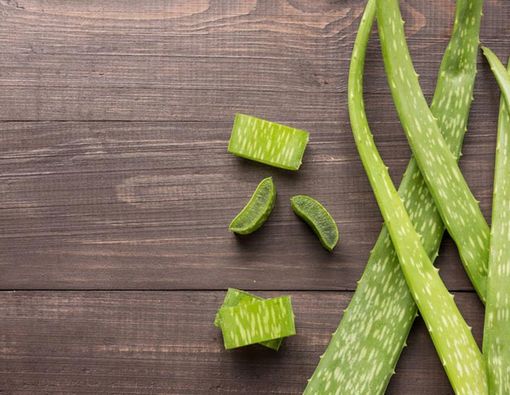 4 Khasiat Lidah Buaya untuk Wajah Berjerawat
