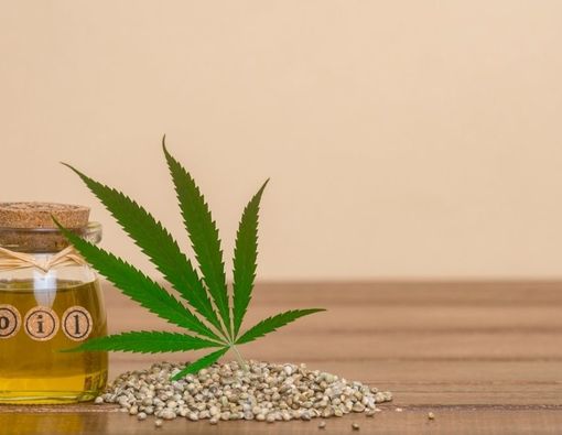 Benarkah Cannabis Oil (CBD) Dapat Mengobati Kanker Paru-Paru?