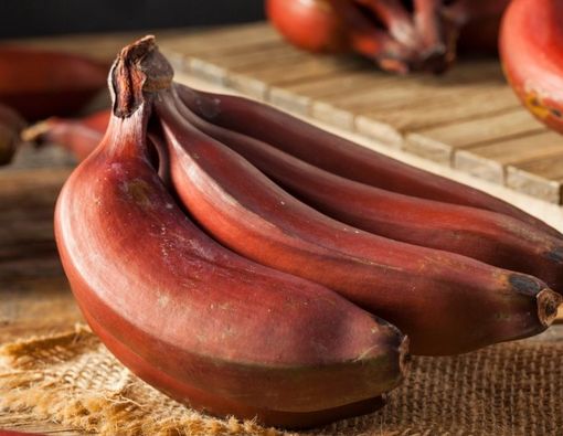 Langka Tapi Sehat, Ini Manfaat Pisang Merah untuk Tubuh
