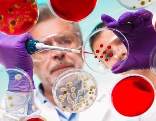 Ancaman Kuman yang Semakin Pintar Berevolusi 