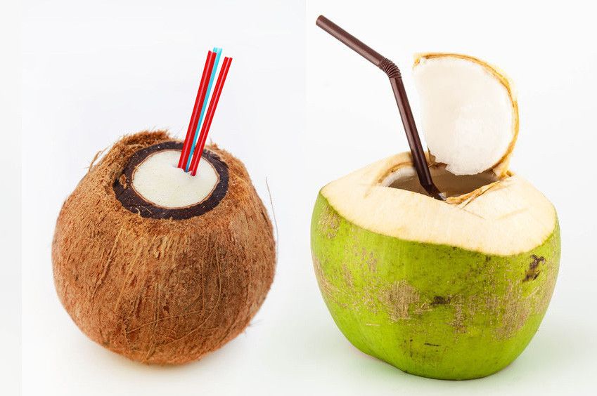 Air Kelapa Muda vs Air Kelapa Tua, Mana yang Lebih Sehat?
