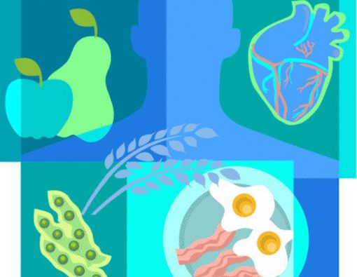 Daftar Makanan Untuk Jantung Sehat