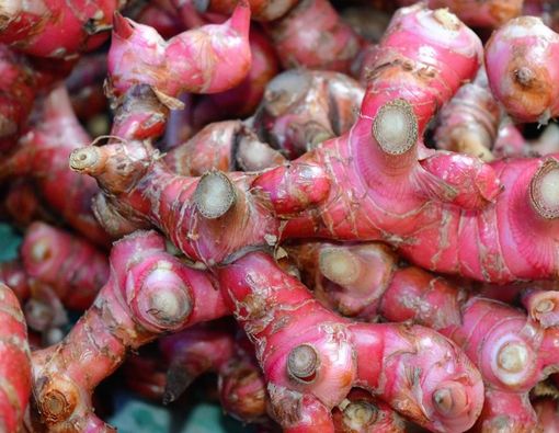 Manfaat Jahe Merah untuk Kesehatan Pencernaan