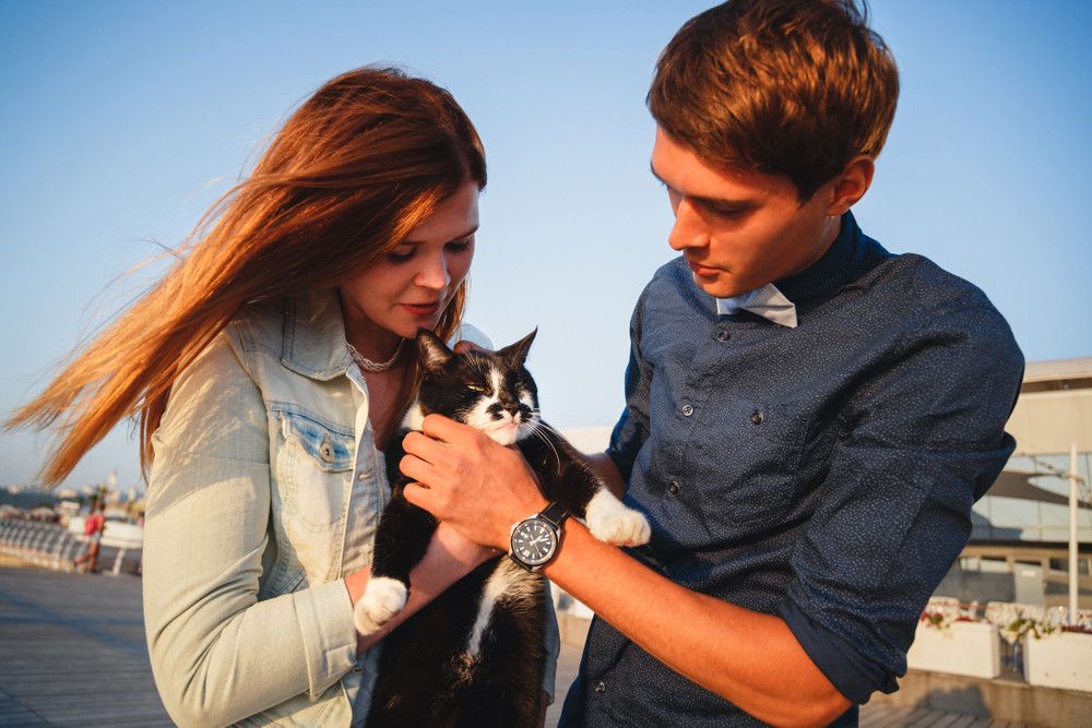 Kiat Bebas Toksoplasma bagi Pencinta Kucing