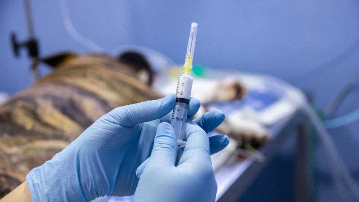 Ketahui Apa Itu Euthanasia dan Pro-Kontra di Baliknya