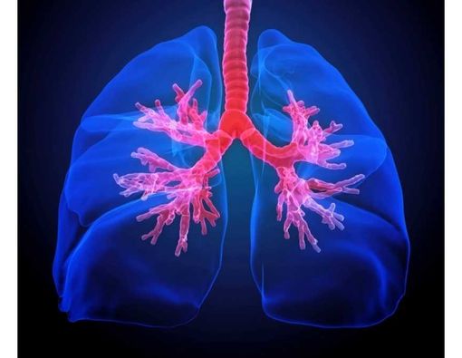 Waspada, Fibrosis Paru Tingkatkan Risiko Gangguan Jantung