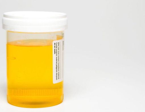 Benarkah Minum Air Kencing Bisa Sembuhkan Penyakit?