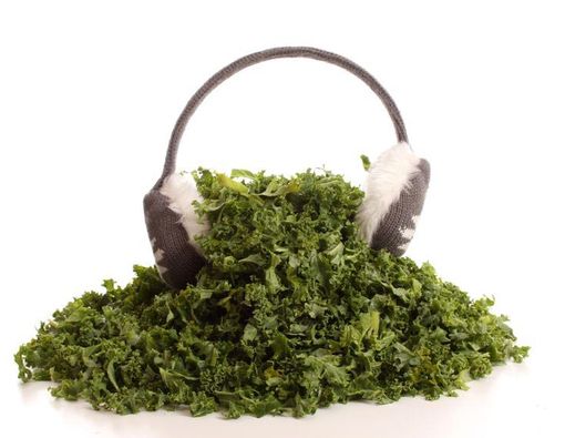 Kale, Sayur Favorit Selebriti Hollywood