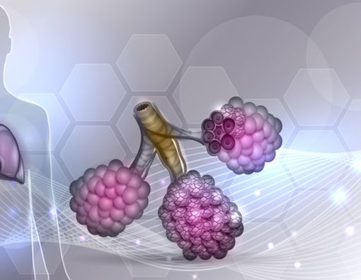 Kenali Cystic Fibrosis, Penyakit Perusak Paru-paru