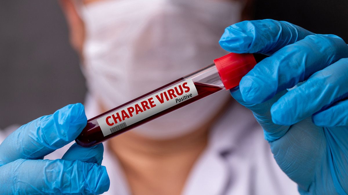 Mengenal Virus Chapare yang Menyebabkan Kematian di Bolivia
