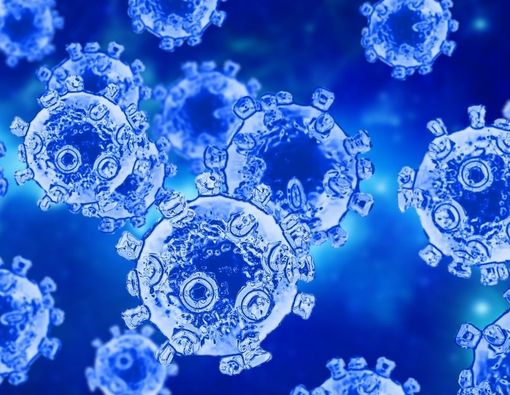 Fakta Soal Virus NeoCoV, Diduga Lebih Berbahaya