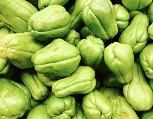 Manfaat Labu Siam untuk Penderita Asam Urat