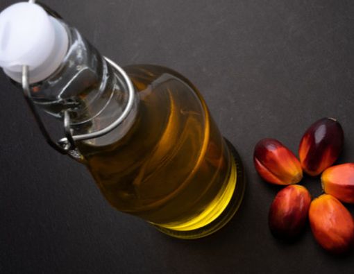 Minyak Kelapa Sawit Merah untuk Kecantikan Kulit dan Rambut