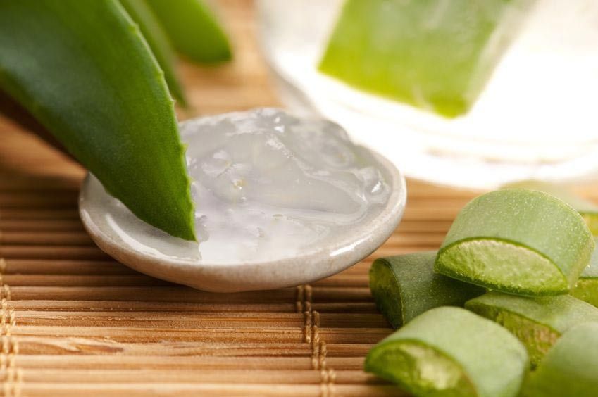 Lidah Buaya, Bahan Alami untuk Melawan Diabetes