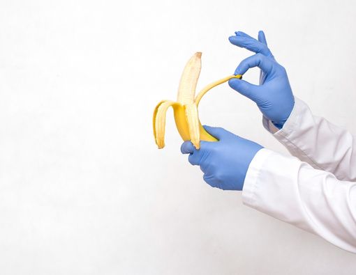 Parafimosis, Menyingkap Kekeliruan Mitos 'Disunat Jin’