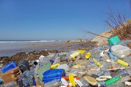 Berapa Lama Sampah Plastik Dapat Terurai?